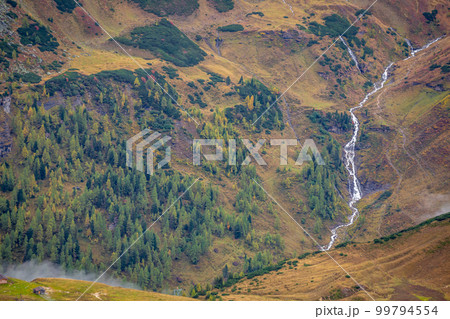 Hohe Tauern pine woodland and waterfall from above Grossglockner road at dawn, Austria 99794554