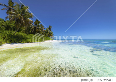 Tropical beach in caribbean sea, idyllic Saona island, Dominican Republic 99794581