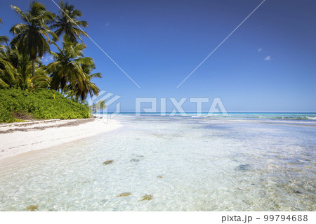 Tropical beach in caribbean sea, idyllic Saona island, Dominican Republic 99794688