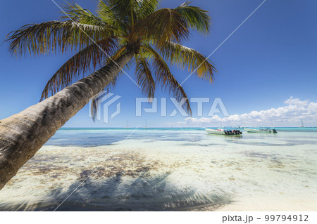 Boats and tropical beach in caribbean sea, Saona island, Dominican Republic 99794912