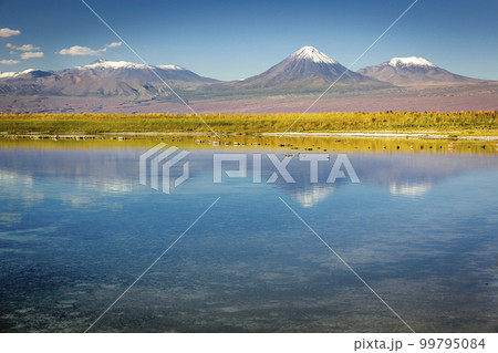 Licancabur with reflection lake and volcanic landscape at Sunset, Atacama, Chile Licancabur with reflection lake and volcanic landscape at Sunset, Atacama, Chile 99795084