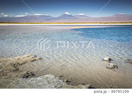 Licancabur with reflection lake and volcanic landscape at Sunset, Atacama, Chile 99795109