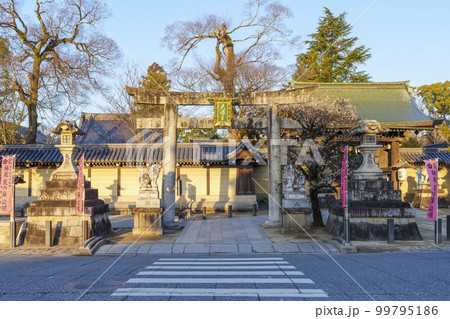 早春の北野天満宮　東門（京都市上京区馬喰町） 99795186