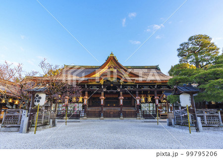 早春の北野天満宮　拝殿・御本殿（京都市上京区馬喰町） 99795206
