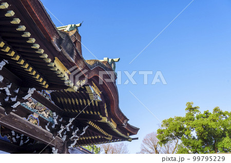 早春の北野天満宮　三光門（京都市上京区馬喰町） 99795229
