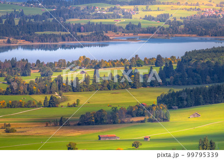 Forggensee Lake in Bavarian alps at golden autumn, Bavaria, Germany Forggensee Lake in Bavarian alps at golden autumn, Bavaria, Germany 99795339