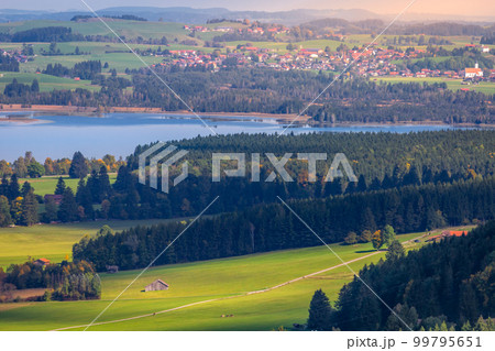 Forggensee Lake in Bavarian alps at golden autumn, Bavaria, Germany Forggensee Lake in Bavarian alps at golden autumn, Bavaria, Germany 99795651