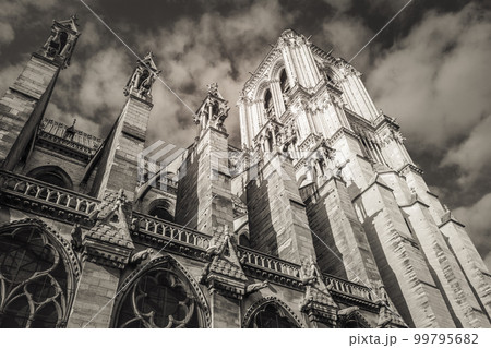 Notre Dame cathedral in Paris at autumn peaceful sunrise, France Notre Dame cathedral in Paris at autumn peaceful sunrise, France 99795682