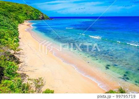 Tropical sandy beach at summer day in Fiji Islands, Pacific ocean 99795719