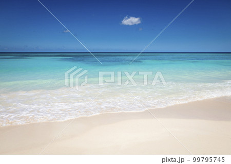 Tropical beach in caribbean sea, idyllic Saona island, Dominican Republic Tropical beach in caribbean sea, idyllic Saona island, Dominican Republic 99795745