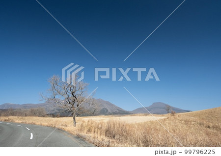 冬の高原 99796225