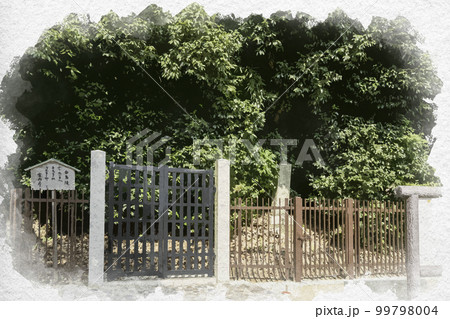 水彩画風　日本武尊琴引原白鳥陵　奈良県御所市 99798004