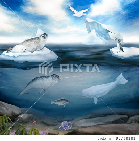 watercolor illustration of north sea landscape, underwater world, sky, iceberg, narwhal, seal, guillemot, seagulls, white wale, cod, crab, starfish watercolor illustration of north sea landscape, underwater world, sky, iceberg, narwhal, seal, guillemot, seagulls, white wale, cod, crab, starfish 99798181
