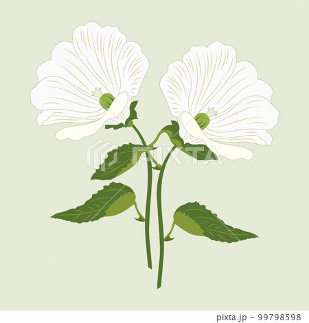 Hand drawn white lily flowers. Postcard, greeting illustration, vector 99798598