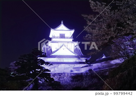 【高知県】桜咲くライトアップされた高知城の夜景（天守閣） 99799442