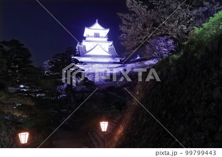 【高知県】桜咲くライトアップされた高知城の夜景（天守閣） 99799443