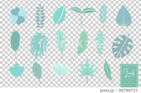 植物、熱帶、自然、生態圖像葉簡單矢量圖標插圖集藍綠色 植物、熱帶、自然、生態圖像葉簡單矢量圖標插圖集藍綠色 99799715