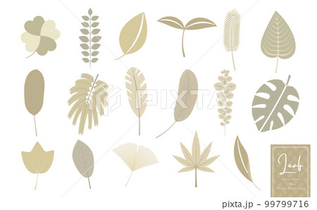 ボタニカル・トロピカル・ナチュラルな葉っぱのシンプルベクターアイコンイラストセット_グレージュ 99799716