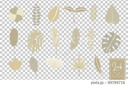 植物的、熱帶的、天然的葉子簡單矢量圖標插圖 set_graige 99799716