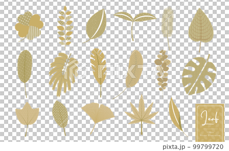 簡單的矢量圖標插圖集植物、熱帶和天然葉子_帶有金色時尚圖案 簡單的矢量圖標插圖集植物、熱帶和天然葉子_帶有金色時尚圖案 99799720