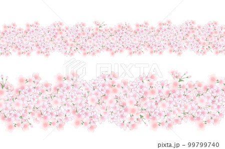 満開の桜いっぱい 一列 横長 縦長 背景・画像 素材  差分あり 99799740