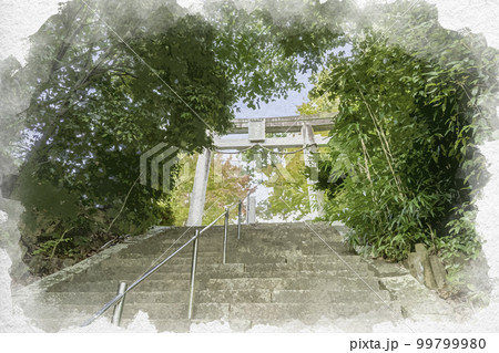 水彩画風　壺井八幡宮　鳥居　大阪府羽曳野市 99799980