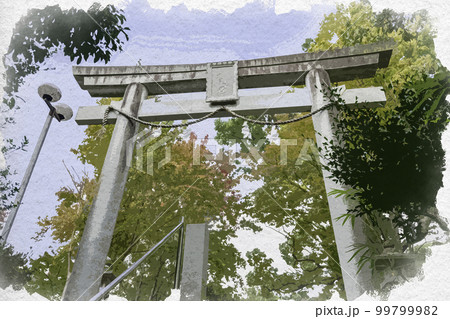 水彩画風　壺井八幡宮　鳥居　大阪府羽曳野市 99799982