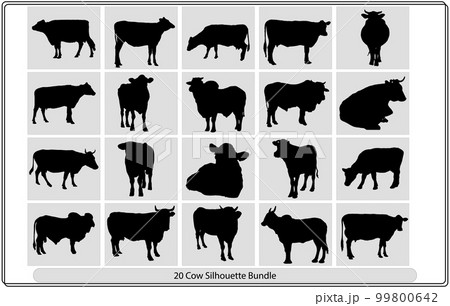 Cow Silhouette,Vector farm animals silhouettes,Silhouette of a cow. Cattle. Circuit. Farm. Bull 99800642