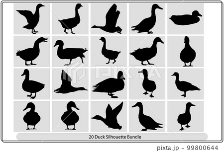 Silhouettes of wild and domestic duck, Duck in flight,silhouette of goose, duck, set,Real duck silhouette. 99800644