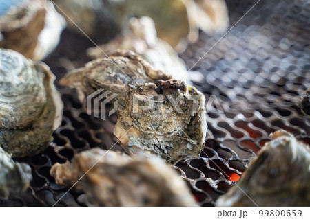 牡蠣 オイスター カキ 99800659
