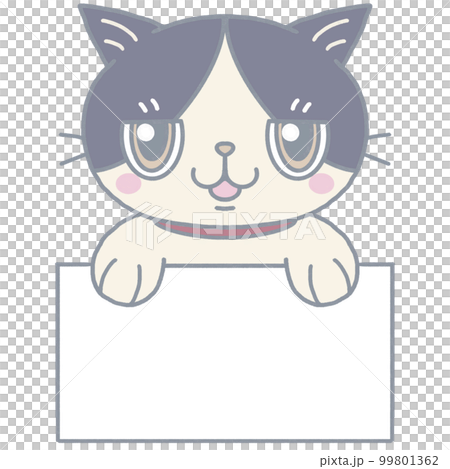 有招牌的 Hachiware 貓 有招牌的 Hachiware 貓 99801362