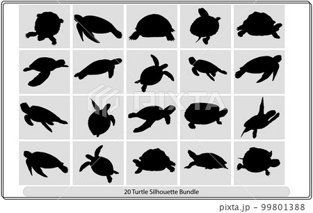 Silhouettes turtle-vector,Turtle Vector Silhouettes. Collection of turtle vector silhouettes. 99801388