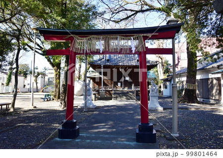 静岡市　魚町稲荷神社（清水のサッカー神社）鳥居と参道 99801464