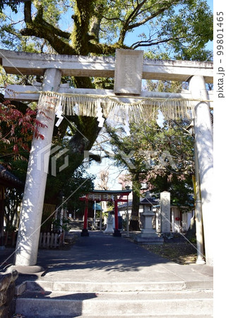 静岡市 魚町稲荷神社(清水のサッカー神社)鳥居と参道 静岡市 魚町稲荷神社(清水のサッカー神社)鳥居と参道 99801465