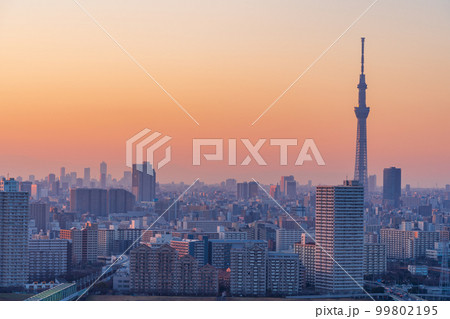 (東京都)東京都市風景 墨田区・江東区・江戸川区 夕景 (東京都)東京都市風景 墨田区・江東区・江戸川区 夕景 99802195