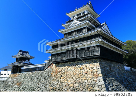 【大分県】晴天の中津城　天守閣と大鞁櫓 99802205