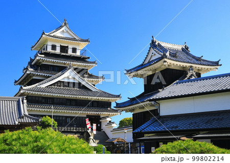 【大分県】晴天の中津城 99802214
