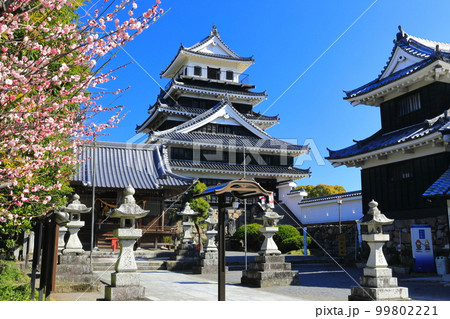【大分県】晴天の中津城と紅梅 99802221