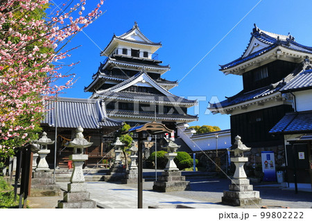【大分県】晴天の中津城と紅梅 99802222