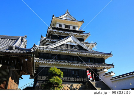 【大分県】晴天の中津城 【大分県】晴天の中津城 99802239