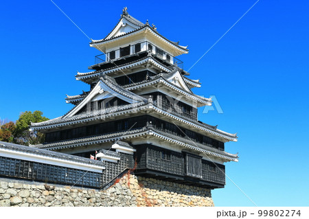 【大分県】晴天の中津城 99802274