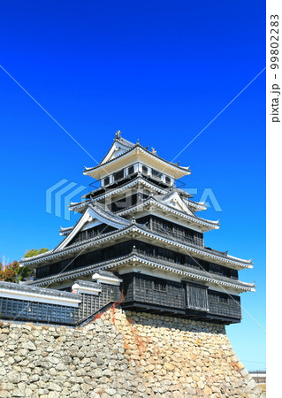 【大分県】晴天の中津城 99802283