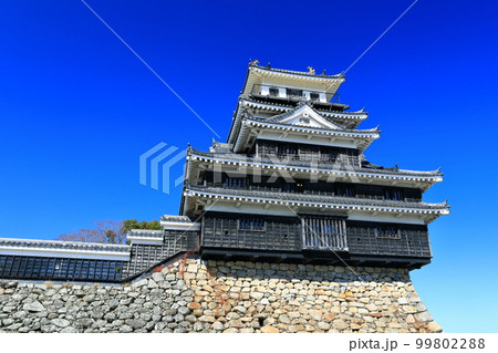 【大分県】晴天の中津城 99802288