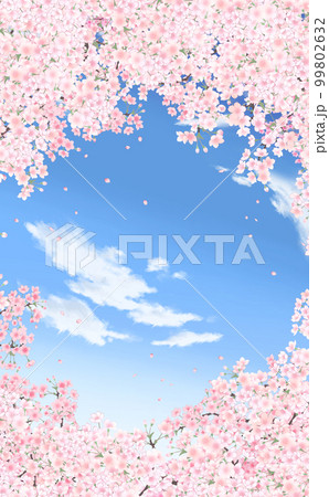 満開の桜と花びら・小 縦型 イラスト素材 -青空背景- 色違い・差分あり 99802632