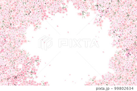 満開の桜と花びら・小 イラスト素材 -白背景- 色違い・差分あり 99802634