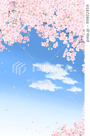 満開の桜と花びら・中 縦型 イラスト素材 -青空背景- 色違い・差分あり 満開の桜と花びら・中 縦型 イラスト素材 -青空背景- 色違い・差分あり 99802859