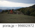 牛と広い草原と空 99802972
