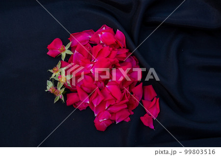 red rose petals on black background, flat lay, flower arrangement 99803516