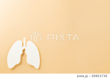 World tuberculosis day. Lungs paper cutting decorative symbol on pastel background, copy space, concept of world TB day, no tobacco, banner background, respiratory, lung cancer awareness, 24 March 99803736