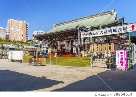 大阪天満宮　御本殿　梅の咲く季節（大阪市北区天神橋） 99804014